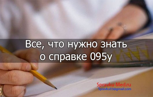 Справка 095/у