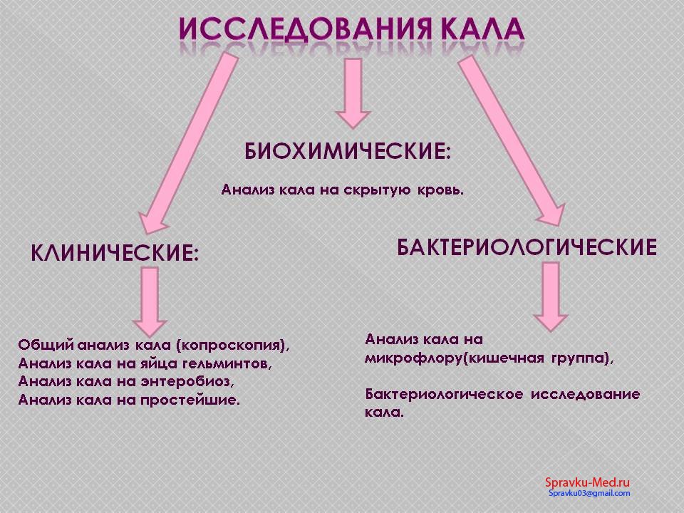 анализы кала