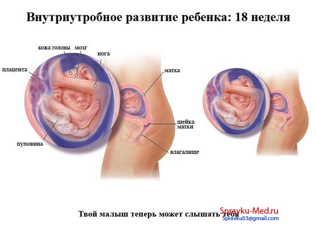 Справка о беременности